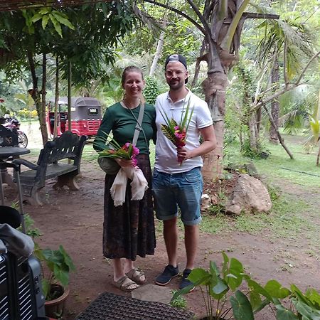Jungle Eco Lodge & Safari สิกิริยา ภายนอก รูปภาพ