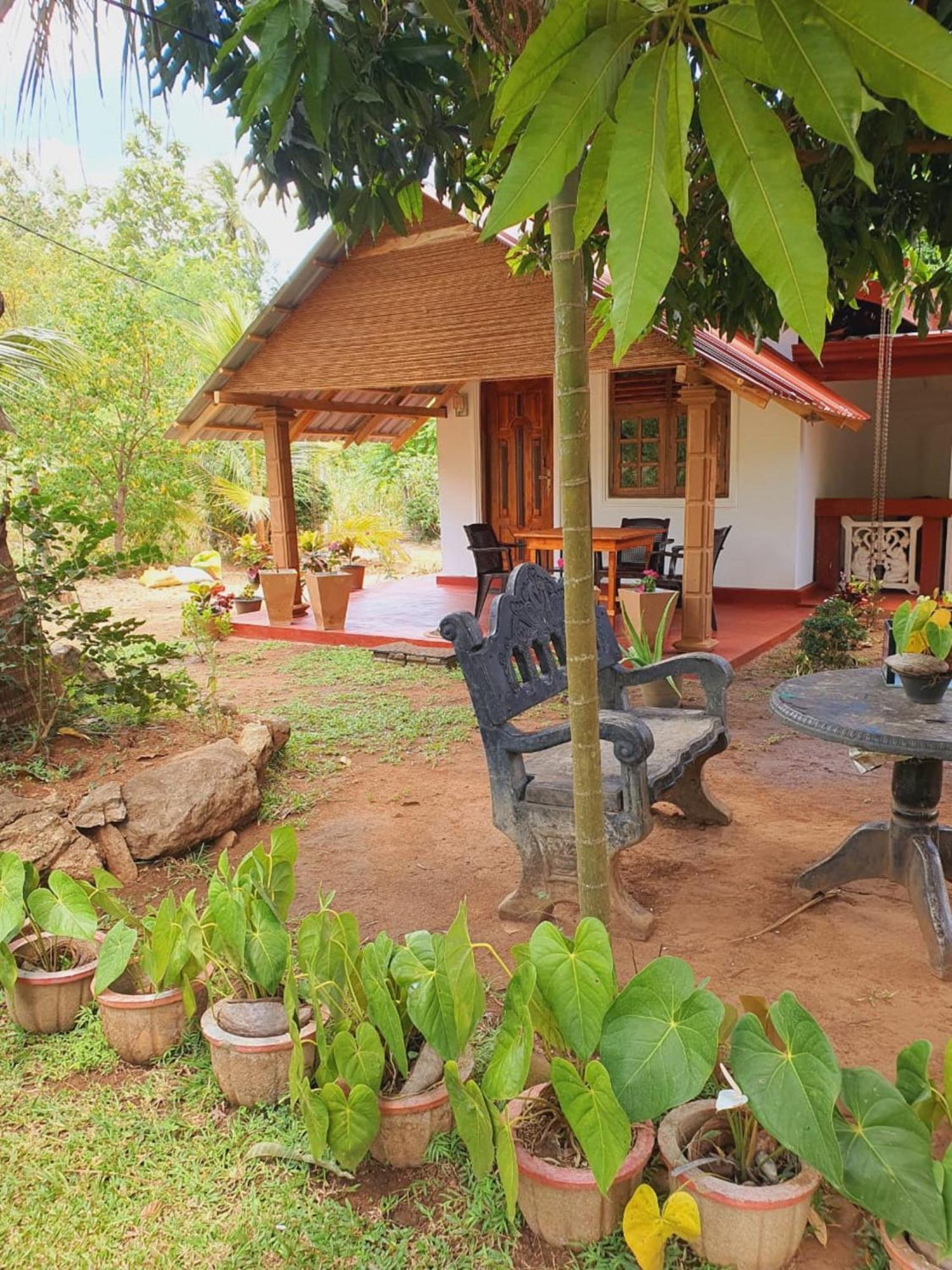 Jungle Eco Lodge & Safari สิกิริยา ภายนอก รูปภาพ