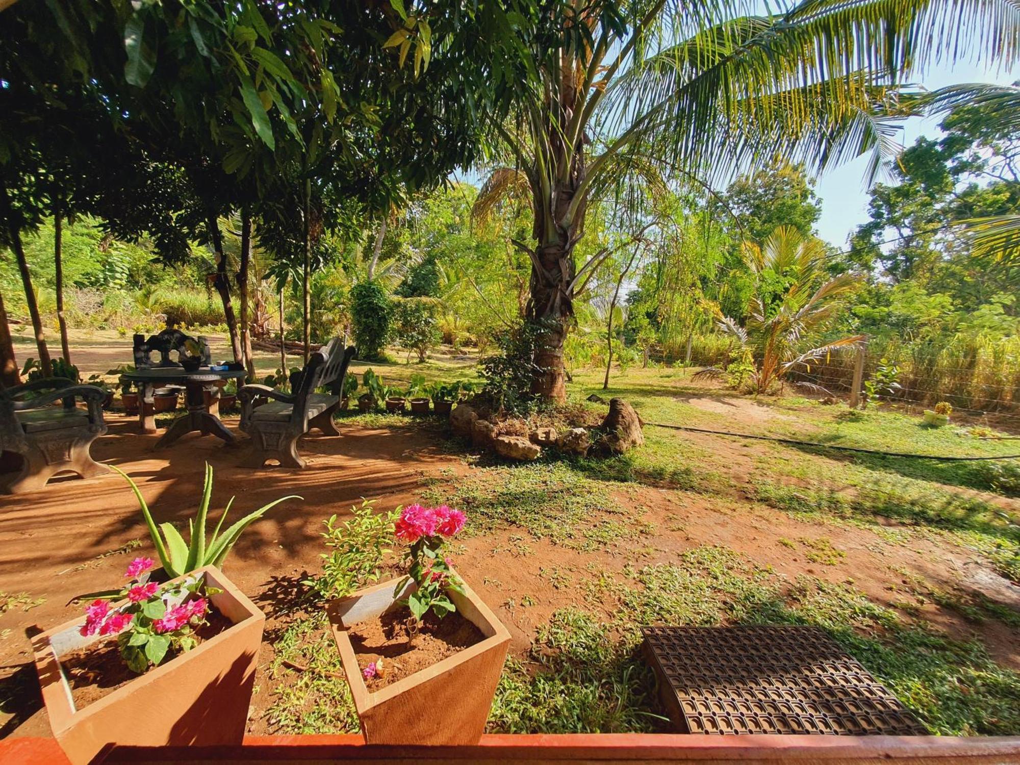 Jungle Eco Lodge & Safari สิกิริยา ภายนอก รูปภาพ