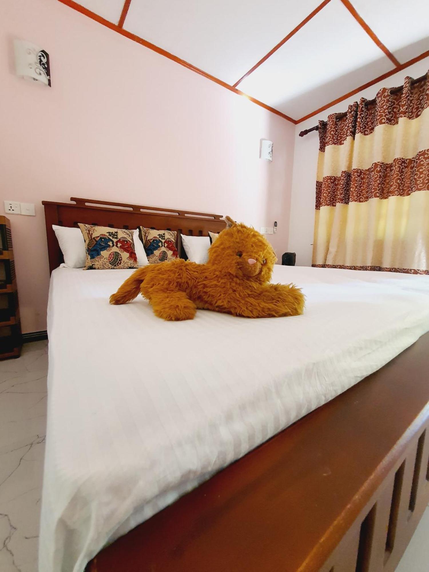 Jungle Eco Lodge & Safari สิกิริยา ภายนอก รูปภาพ