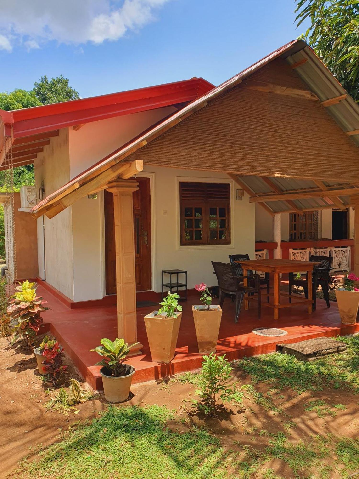 Jungle Eco Lodge & Safari สิกิริยา ภายนอก รูปภาพ