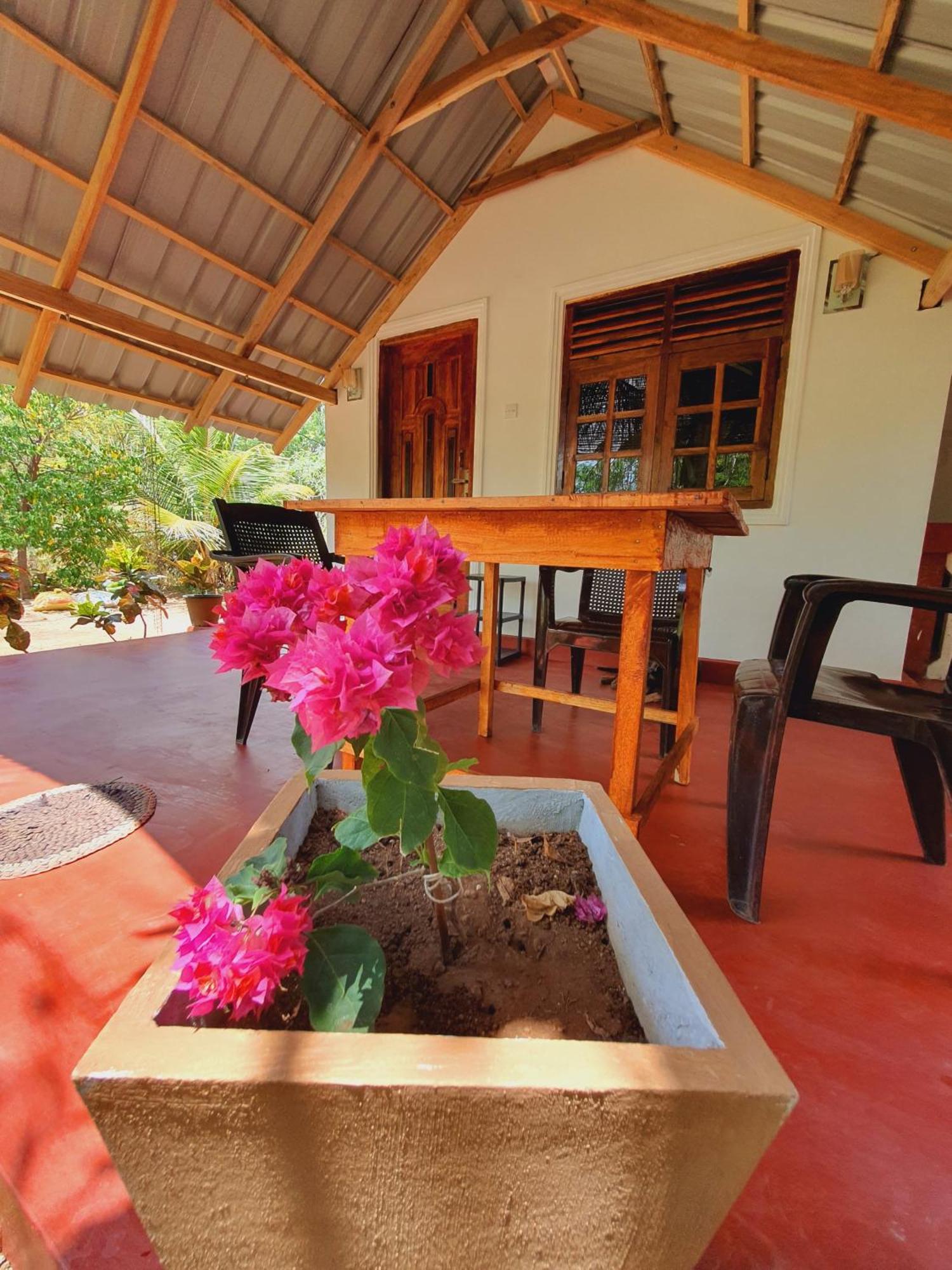 Jungle Eco Lodge & Safari สิกิริยา ภายนอก รูปภาพ