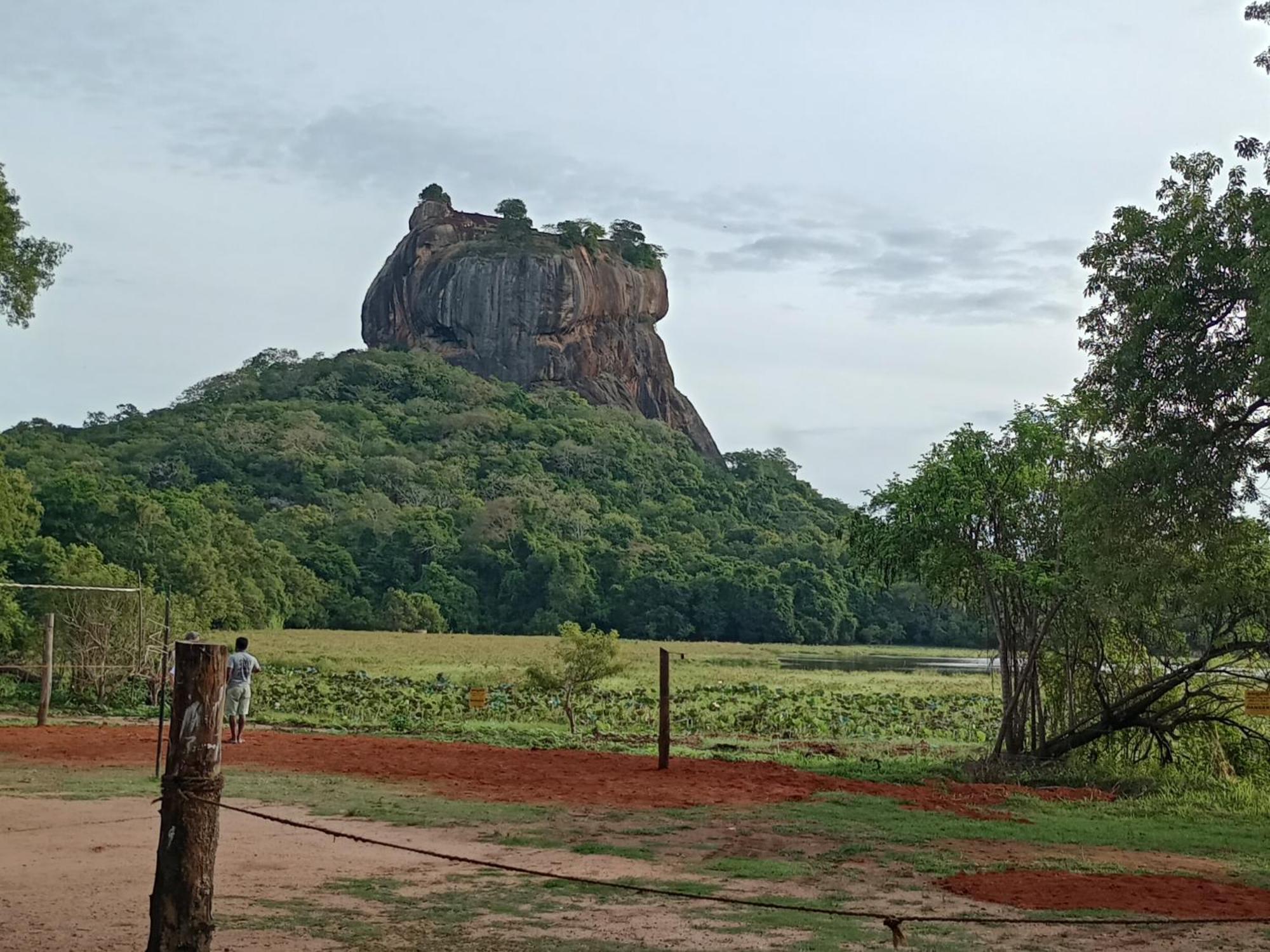 Jungle Eco Lodge & Safari สิกิริยา ภายนอก รูปภาพ