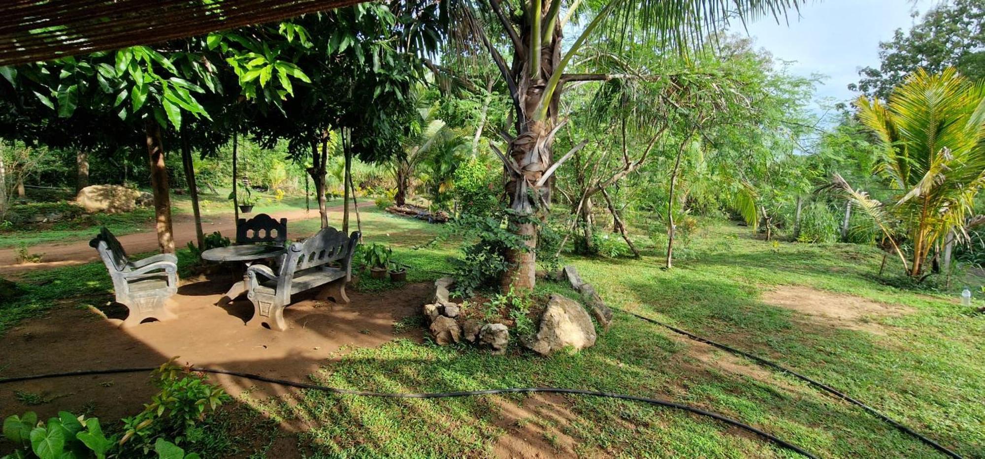 Jungle Eco Lodge & Safari สิกิริยา ภายนอก รูปภาพ