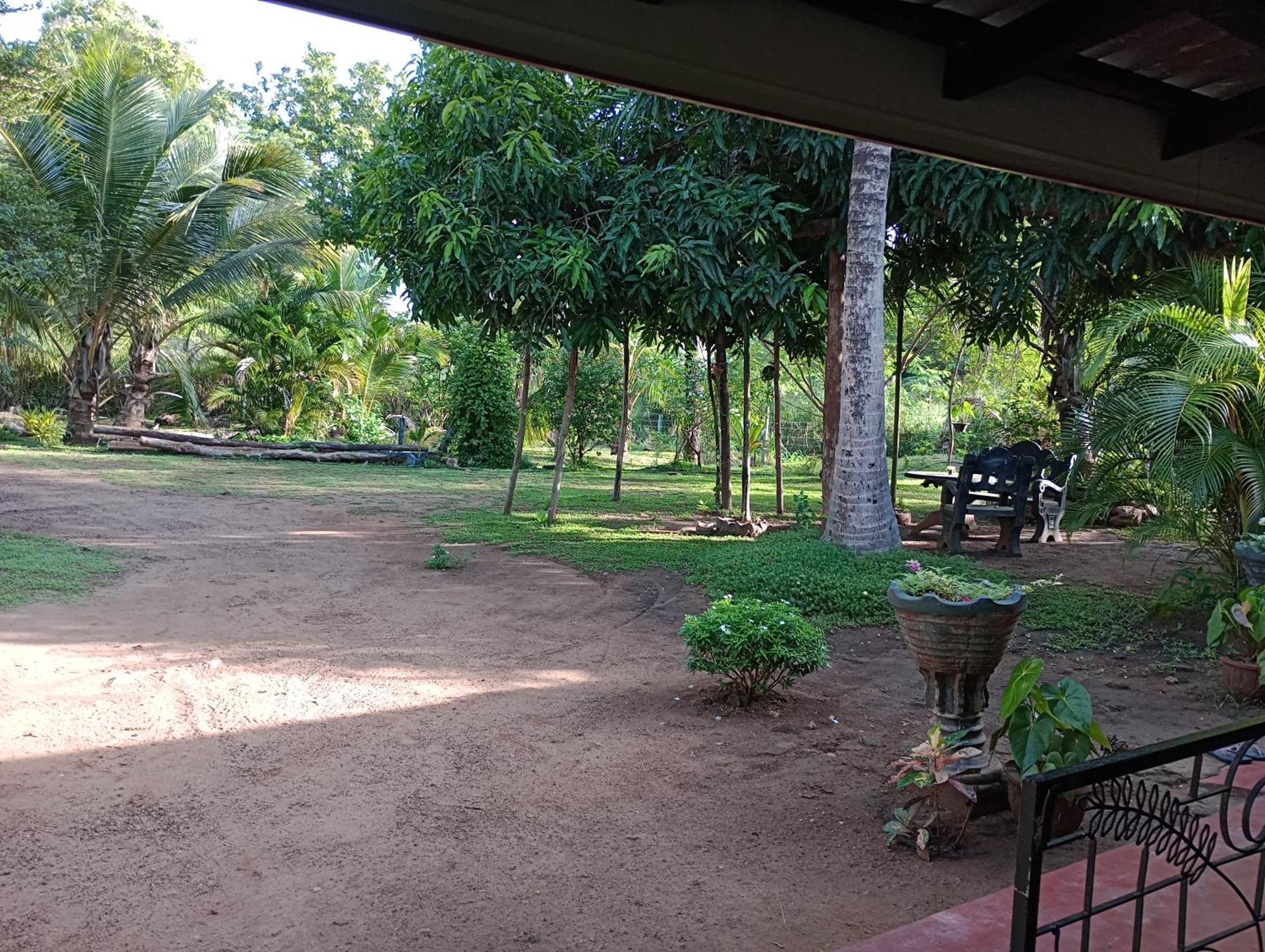 Jungle Eco Lodge & Safari สิกิริยา ภายนอก รูปภาพ