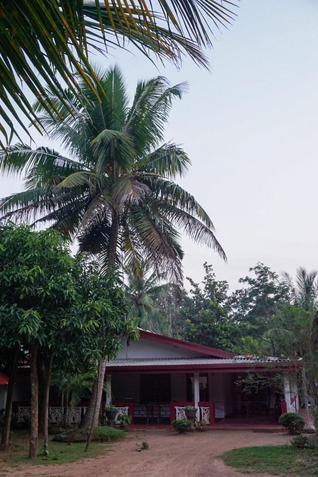 Jungle Eco Lodge & Safari สิกิริยา ภายนอก รูปภาพ