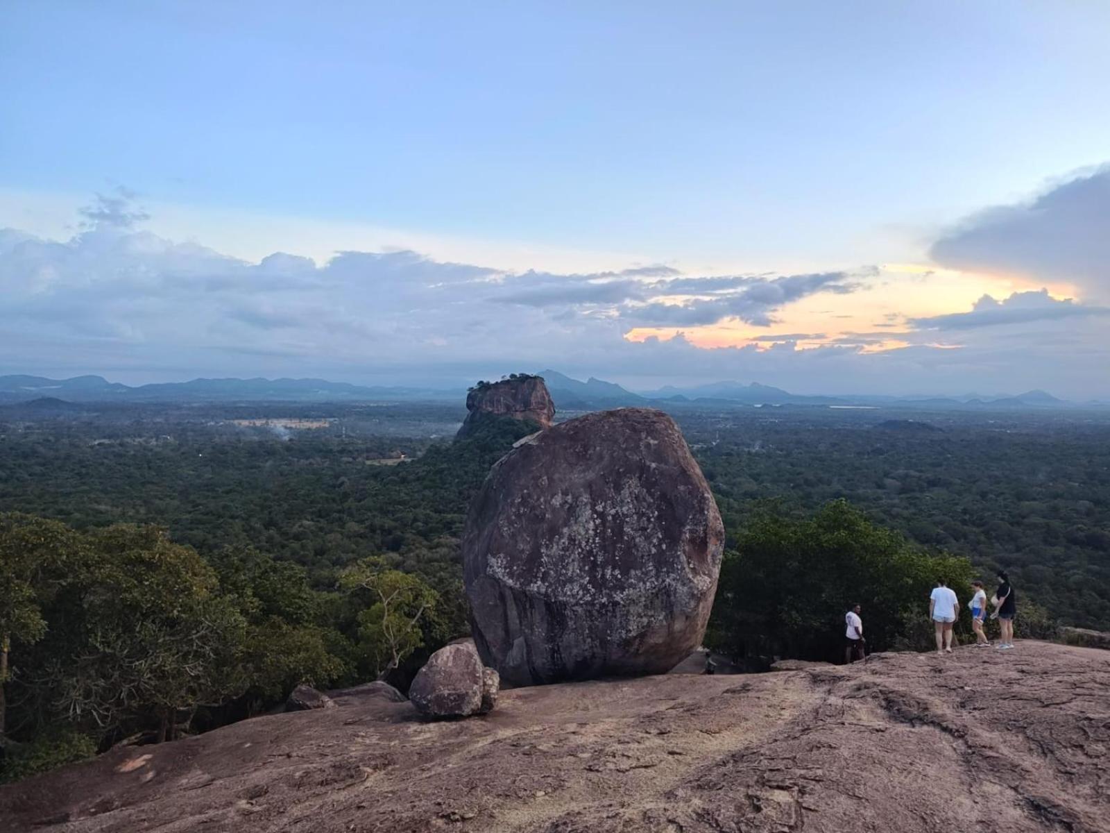 Jungle Eco Lodge & Safari สิกิริยา ภายนอก รูปภาพ