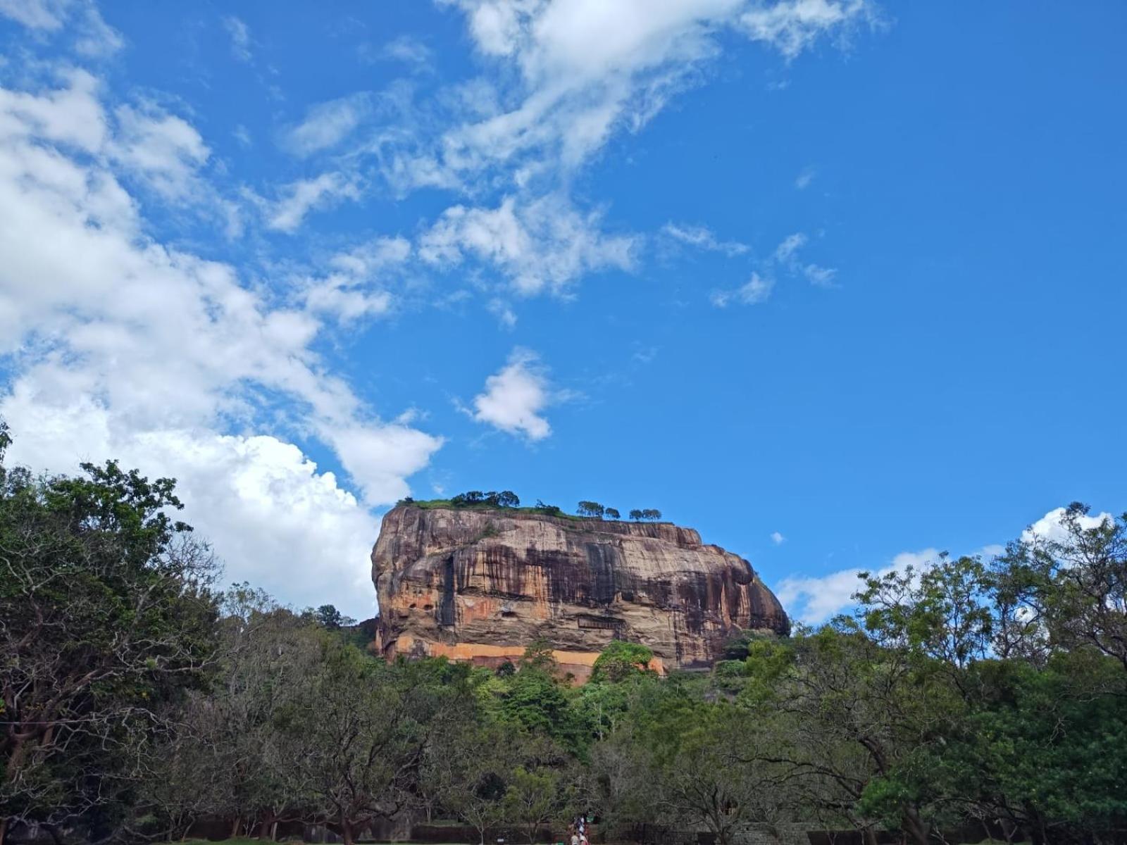 Jungle Eco Lodge & Safari สิกิริยา ภายนอก รูปภาพ